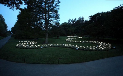 Un jardín de LED’s